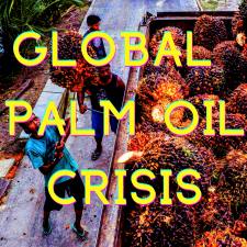 Global Palm Oil Crisis 2022 and Inflation