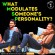 What Modulates Someone's Personality?