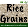 Rice Grains