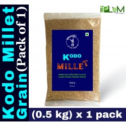 Sportify Kodo - Whole Millet Grain | Unpolished | Natural Gluten-free Grain|  Low GI Millet | Lymph-friendly | 0.5kg (500g x 1 Pack) – (Kodra | Varagu| Arikelu | Hark | Varigu)